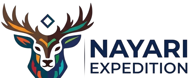 Nayari logo main